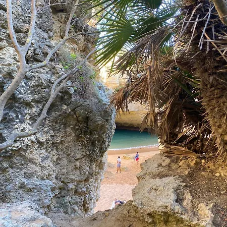 Appartement Oldtown 330ft Parking Ac Wifi